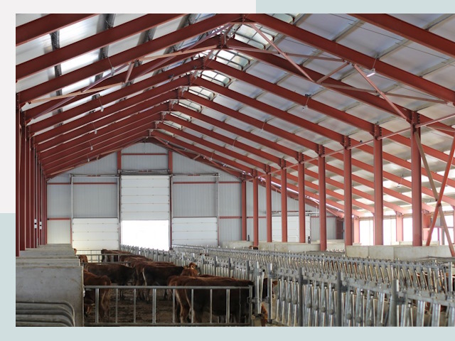 Строительство коровников в Лиски