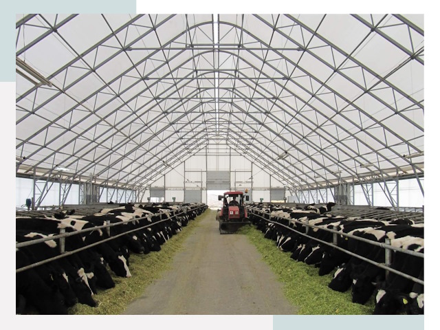 Тентовые коровники в Лиски от 656 руб. - Надежно и доступно